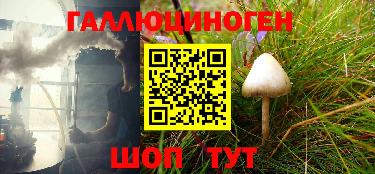 как найти закладки  Вход с VPN  Псилоцибиновые грибы Psilocybe  Горно-Алтайск  Галлюциногенные грибы Cubensis 