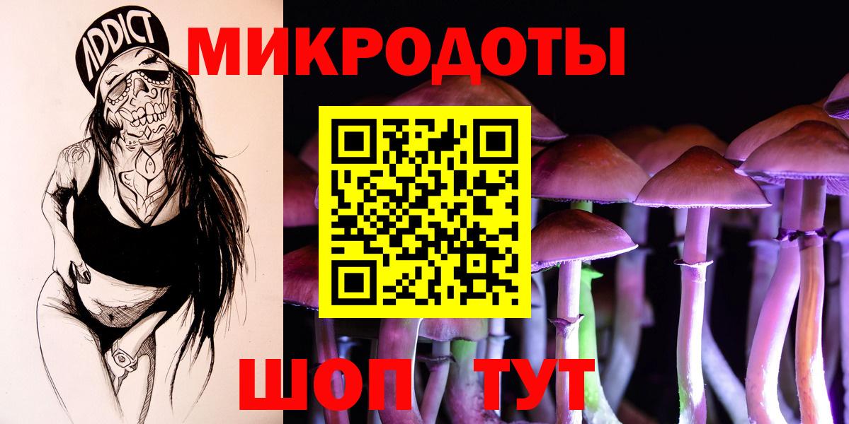 Псилоцибиновые грибы MAGIC MUSHROOMS Горно-Алтайск